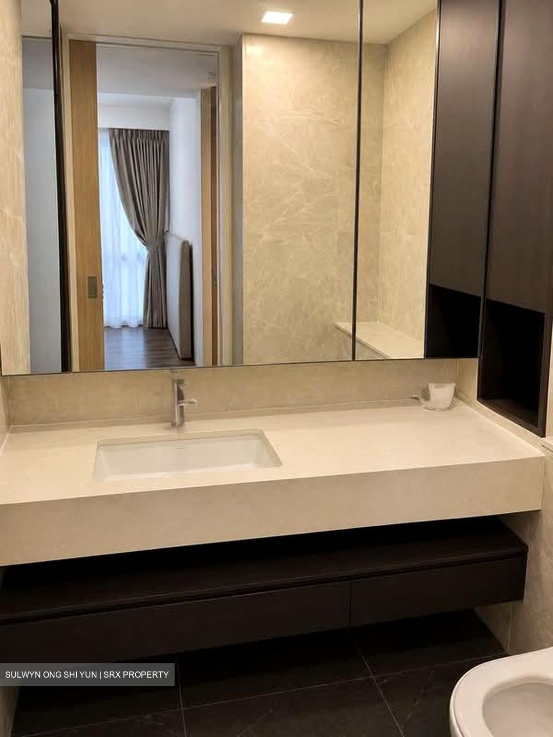Amber Park (D15), Condominium #558031761